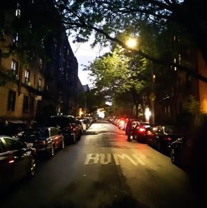 Meet your Posher, Lommie